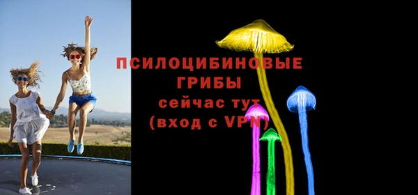 MESCALINE Баксан