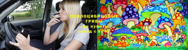 эйфоретик Балахна