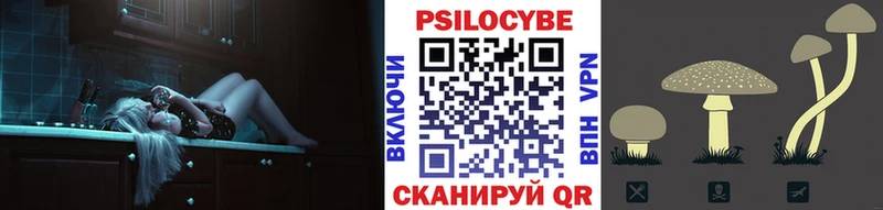 Псилоцибиновые грибы ЛСД даркнет сайт Озёры